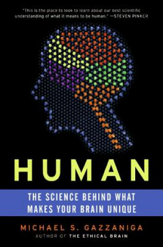 Human