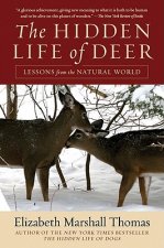 Hidden Life of Deer