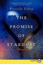 Promise of Stardust LP