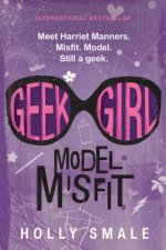 Model Misfit