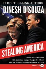 Stealing America LP