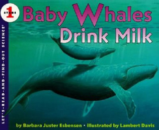 Baby Whales Drink Milk (Barbara Juster Esbensen,Lambert Davis)(Puha kötésű)