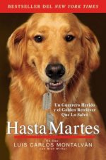 Hasta Martes / Until Tuesday