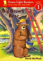 Big Brown Bear