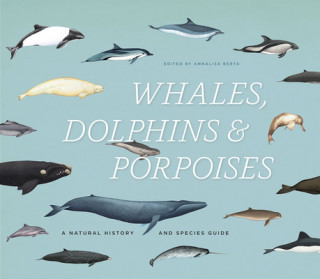 Whales, Dolphins, & Porpoises