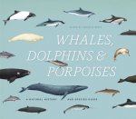 Whales, Dolphins, & Porpoises