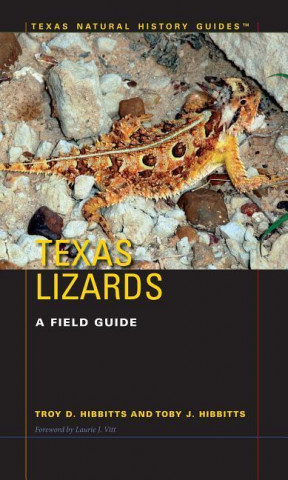 Texas Lizards