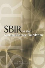 Sbir at the National Science Foundation 2015