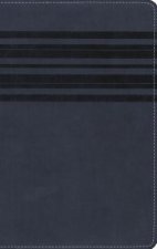 NIrV, Holy Bible, Large Print, Leathersoft, Blue