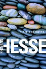 PETER CAMENZIND