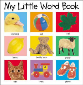 MY LITTLE WORD BOOK