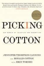 PICKING COTTON