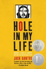 HOLE IN MY LIFE