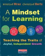 A Mindset for Learning