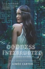 Goddess Interrupted