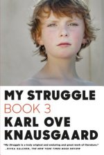 MY STRUGGLE BOOK 3