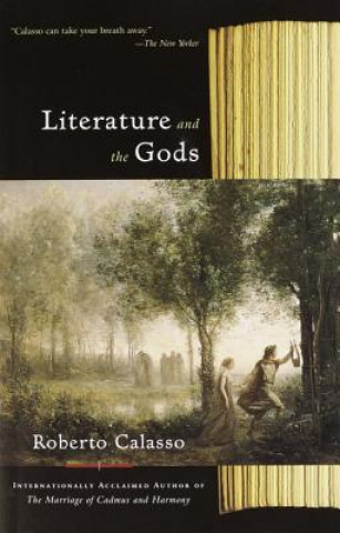 Literature and the Gods (Roberto Calasso)(Miękka)