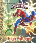 High Voltage