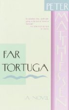 Far Tortuga