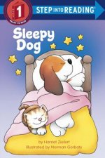 Sleepy Dog