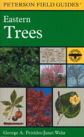Field Guide to Eastern Trees