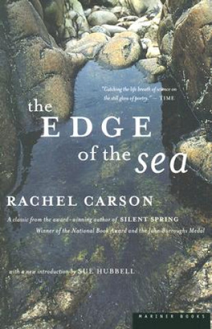 Edge of the Sea