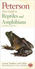 Peterson First Guide to Reptiles and Amphibians