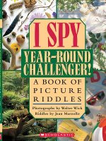 I Spy Year-round Challenger!