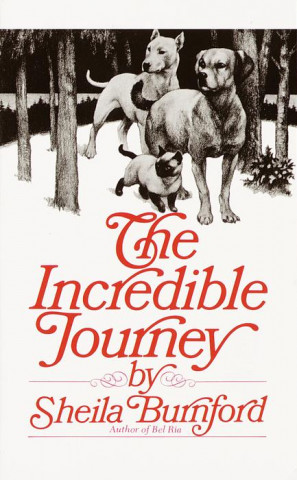 The Incredible Journey