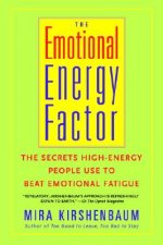 Emotional Energy Factor