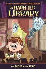 Ghost in the Attic #2