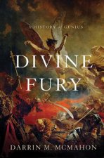 Divine Fury