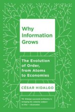 Why Information Grows