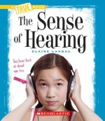 The Sense of Hearing