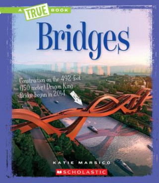 Bridges (A True Book: Engineering Wonders)