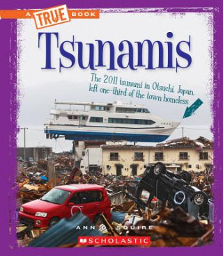 Tsunamis (A True Book: Extreme Earth)