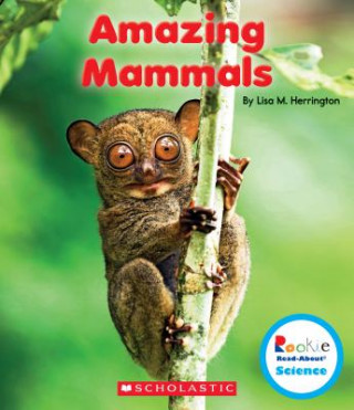 Amazing Mammals