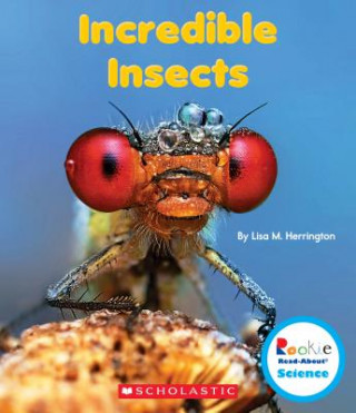 Incredible Insects (Rookie Read-About Science: Strange Animals)
