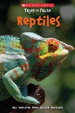 Reptiles