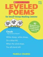 Leveled Poems for Small-Group Reading Lessons, Grades 1-3