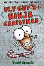 Fly Guy's Ninja Christmas (Fly Guy #16)