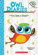 Eva Sees a Ghost: A Branches Book (Owl Diaries #2)