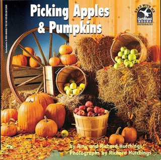 Picking Apples & Pumpkins