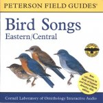 Bird Songs