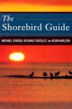 Shorebird Guide