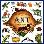 Life and Times of the Ant