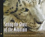 Saving the Ghost of the Mountain