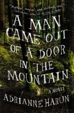 Man Came Out of a Door in the Mountain