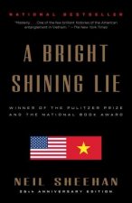 A Bright Shining Lie