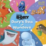 Dory's Sea of Wonders